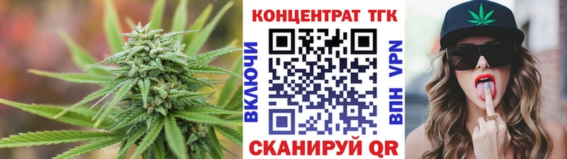 мориарти телеграм  Новохопёрск  ТГК концентрат 